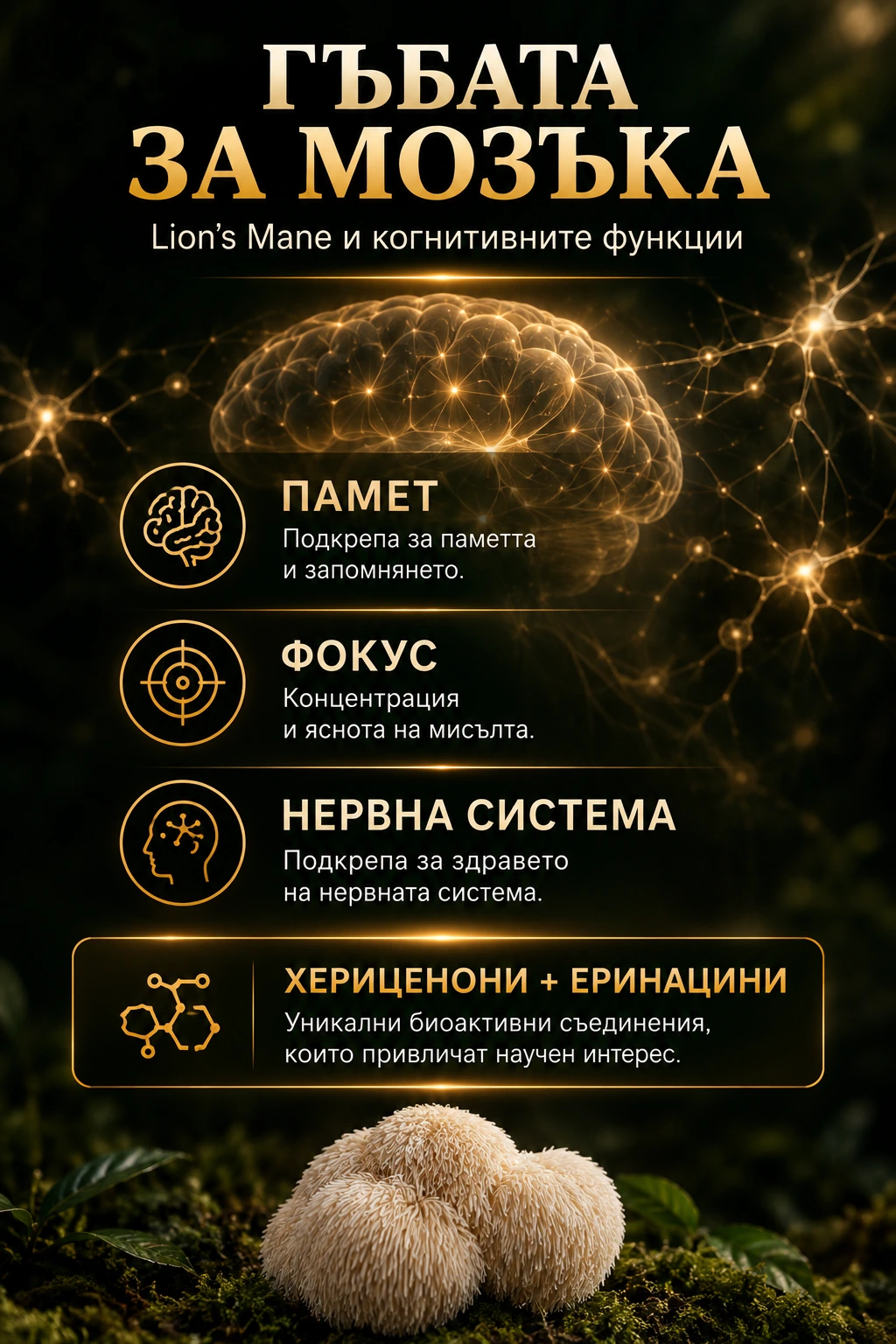Лъвска грива и когнитивните функции